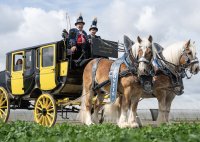 Zeitfenster der Ruhe: Wo Pferde und Museums-Postkutsche Kraft schöpfen
