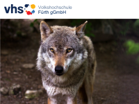 Online: Der Wolf und die Deutschen: Konflikt oder Koexistenz?