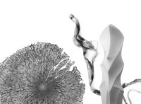 Schwarz-weiße Grafik mit einer strahlenförmigen, floralen Zeichnung neben einer verdrehten Bandform und einer facettierten, säulenartigen Struktur.