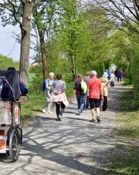 Eine Gruppe von Menschen wandert an einem sonnigen Tag auf einem baumgesäumten Schotterweg.