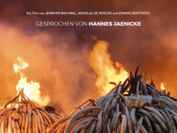 Copyright: Happy Entertainment
Filmplakat zu dem Film DIE EPOCHE DES MENSCHEN – DAS ANTHROPOZÄN