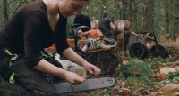 Person schärft im Wald die Kette einer Motorsäge, im Hintergrund führt eine weitere Person ein Zugpferd mit Rückewagen.