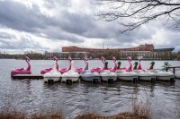 Blick auf die Kongresshalle vom Dutzendteich mit Treetboten