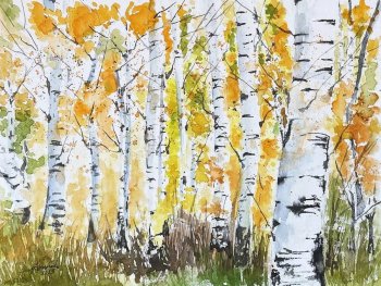 Copyright: Anuscheh Das Bild ist ein Aquarell mit einem Birkenwald