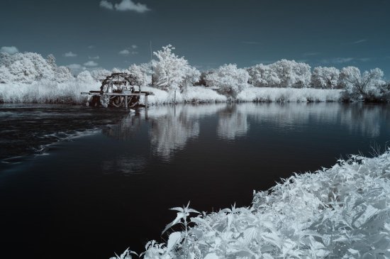 Foto: Hans Schmidt