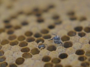 Bild zur Veranstaltung