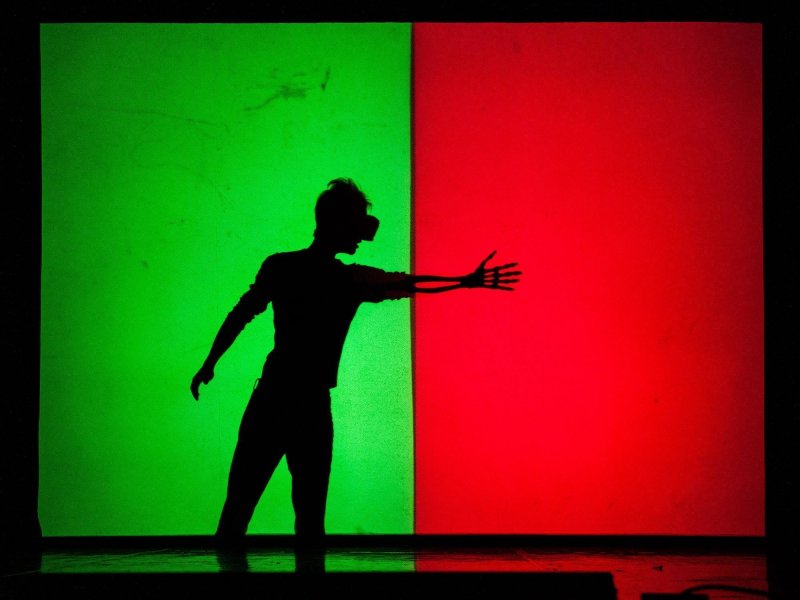 Photo of a canvas on stage. In the left, green part of the screen is the shadow of a person wearing VR goggles. The person stretches their arm into the right, red part of the screen and their arm appears as an X-ray.