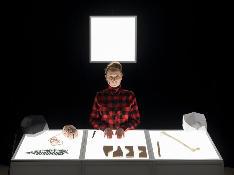 Eine Frau in rot-schwarz karierten Flannellhemd sitzt vor einem leuchtend weißen Tisch, auf dem ein Knochen, ein Farnblatt, Kartonausschnitte, ein Gehirn und eine schwarze und weiße Papierkugel liegen. Hinter ihr leuchtet ein weißes Quadrat.
