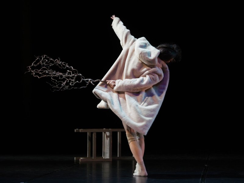 Eine Tänzerin auf der Bühne, sie trägt einen weichen Mantel, tanzt und hält dabei einen verzweigten Ast.