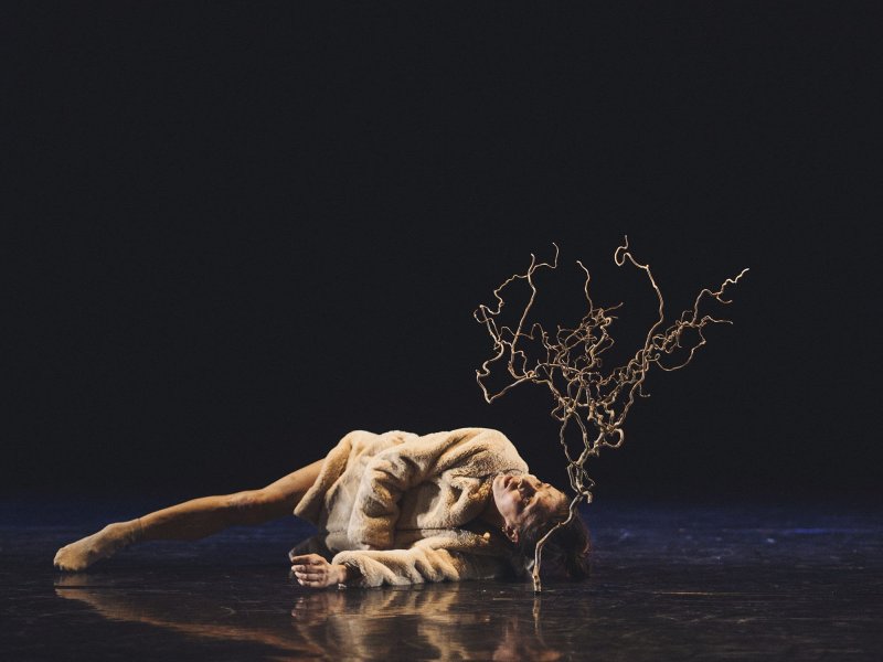 Eine Tänzerin liegt auf der Bühne. Sie trägt einen weichen Mantel, neben ihr steht ein verzweigter Ast auf dem Boden.