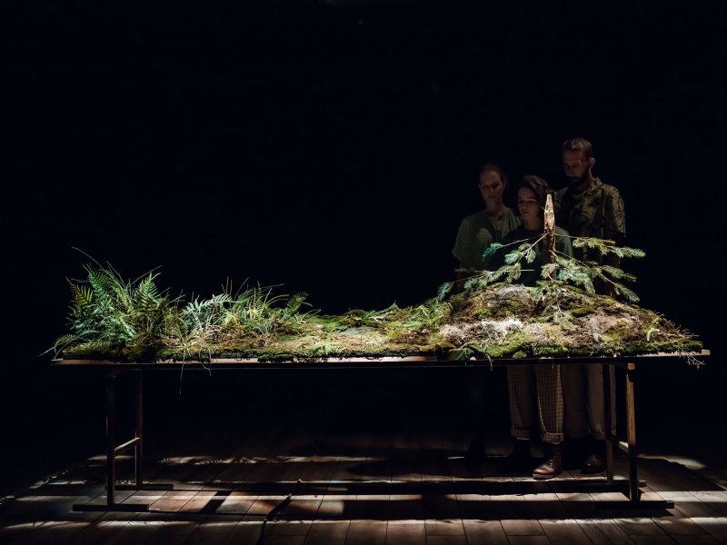 Shot of a large table covered with a landscape of plants, which three people are looking at.
