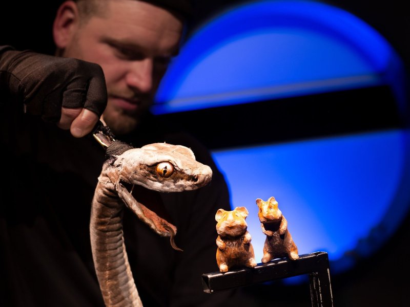: A man in black clothing is controlling a snake puppet, which is preying on two mice. There’s a big, blue circle behind him.