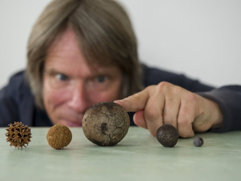 Close-up of several round objects from nature, like seeds and chestnuts, laying on a table. Behind them is a man bumping one of these objects.