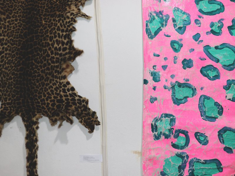 Detail of a hanging jaguar skin and a hanging painted pink canvas with a blue jaguar pattern.