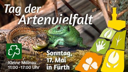 Bild zur Veranstaltung
