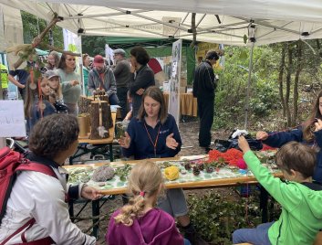 Bastelaktion mit Zapfen am Stand des Amts für Umwelt, Ordnung und Verbraucherschutz 2022