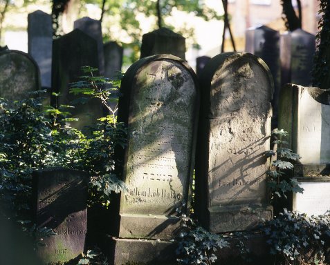 Bild zur Veranstaltung