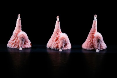 Bild zur Veranstaltung