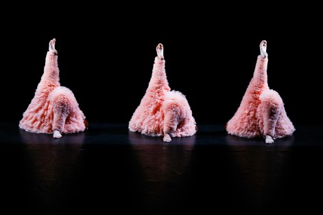 Bild zur Veranstaltung