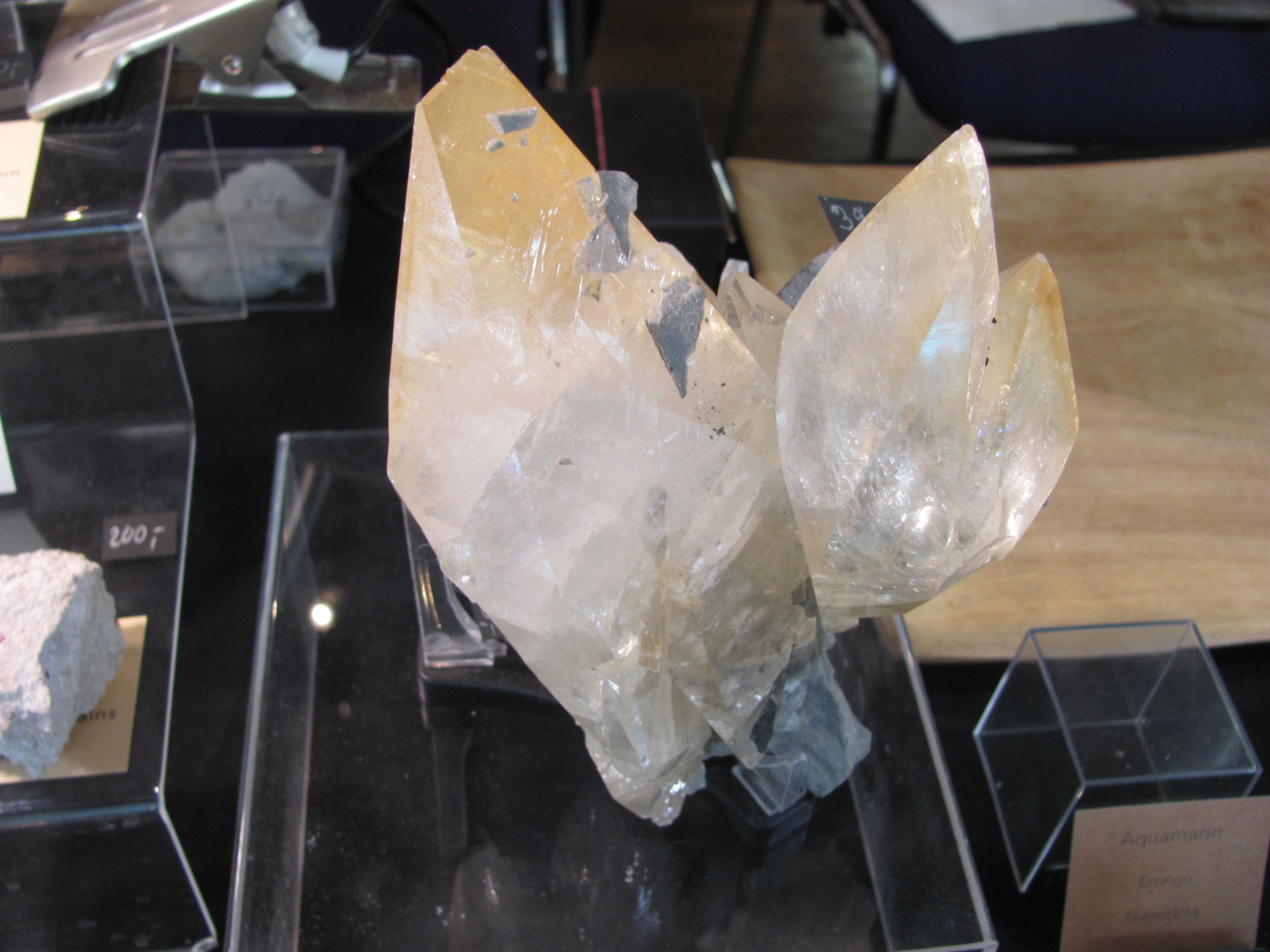 Bild zur Veranstaltung