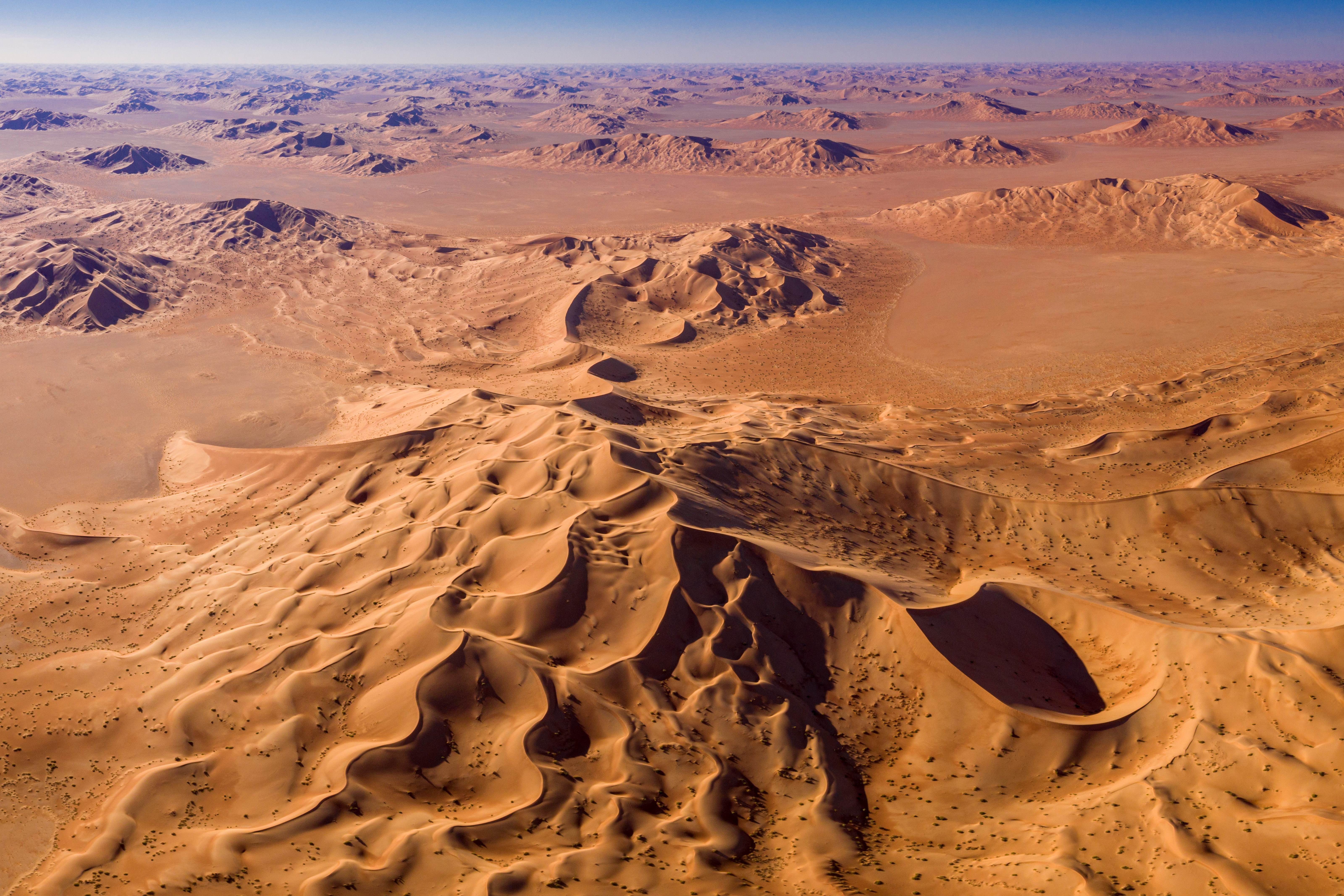 Bild zur Veranstaltung