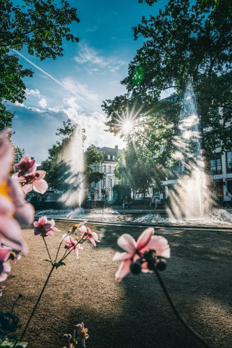 Brunnen mit mehreren Wasserfontänen in der Adenauer Anlage in Fürth, Sonnenstrahlen durch Bäume und unscharfe Blüten im Vordergrund.