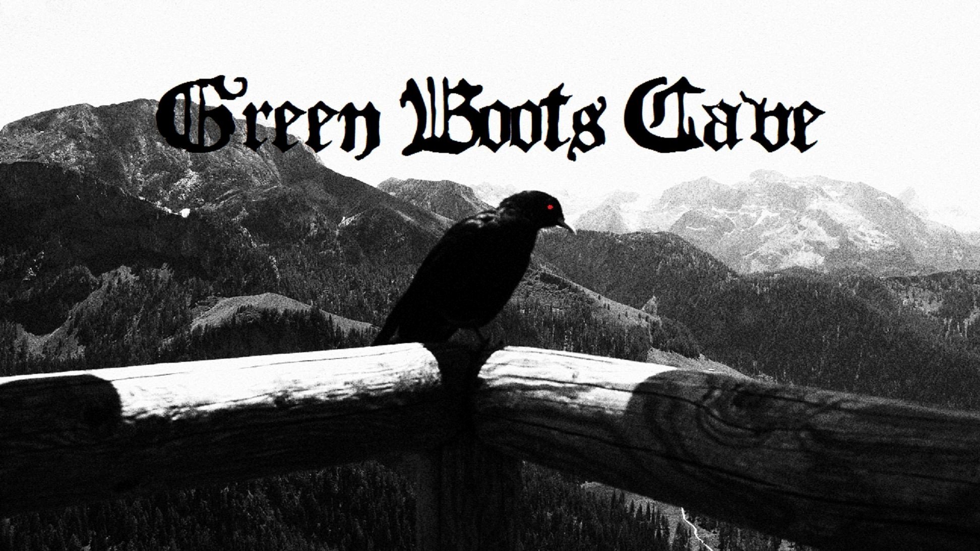 Rabe mit roten Augen auf einem Ast vor Bergen