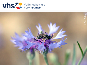 Bild zur Veranstaltung