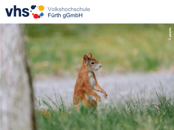 Bild zur Veranstaltung