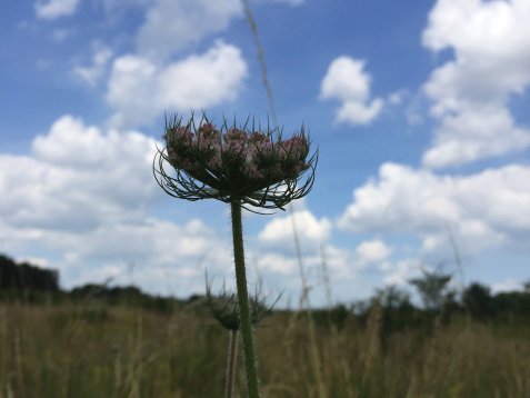 Bild zur Veranstaltung