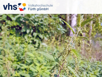 Bild zur Veranstaltung