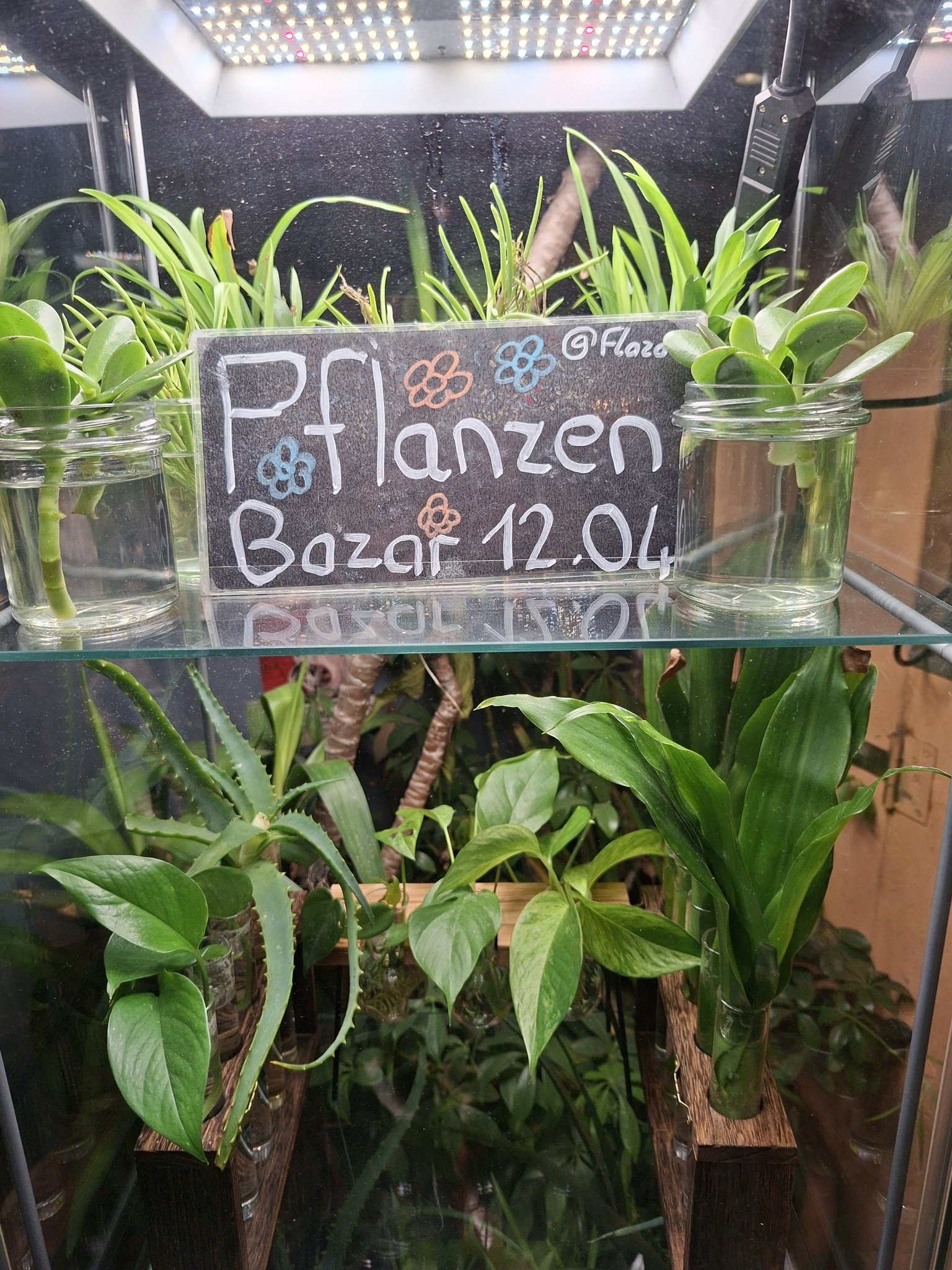 Bild zur Veranstaltung