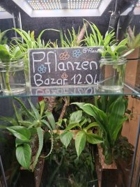 Bild zur Veranstaltung