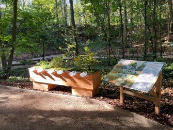 Inklusiver Sinnespfad der Umweltstation Fürth