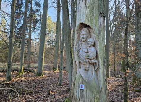 Bild zur Veranstaltung