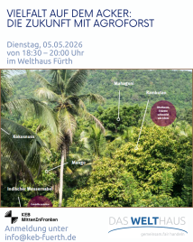 Dichter tropischer Wald mit beschrifteten Bäumen wie Kokosnuss, Mango, Mahagoni, Rambutan und Indischer Wassernabel
