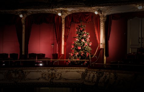 Bild zur Veranstaltung