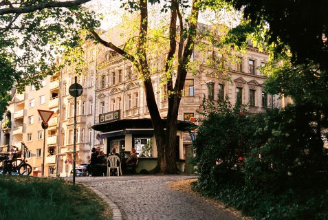 Menschen sitzen im Abendlicht an einem Kiosk unter einem großen Baum vor historischen Wohnhäusern.