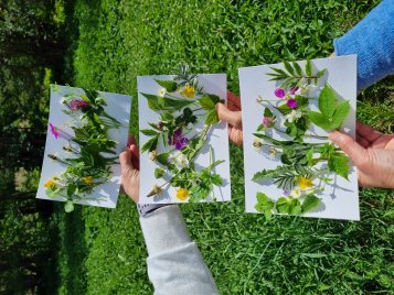 Drei weiße Karten mit aufgelegten Wildblumen, Blüten und grünen Blättern werden von Personen vor einer sommerlichen Wiese in die Höhe gehalten.
