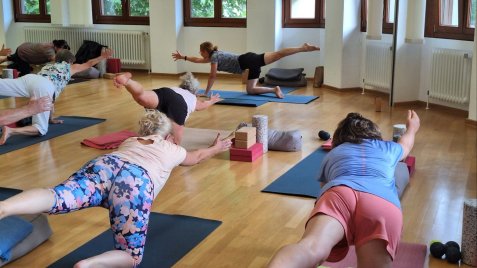 Mehrere Personen üben in einem hellen Raum auf Yogamatten die Vierfüßlerstand-Balance mit ausgestrecktem Arm und Bein.