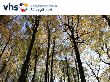 Blick von unten in hohe Baumkronen mit herbstlich gefärbtem Laub vor blauem Himmel, oben das Logo der Volkshochschule Fürth gGmbH.