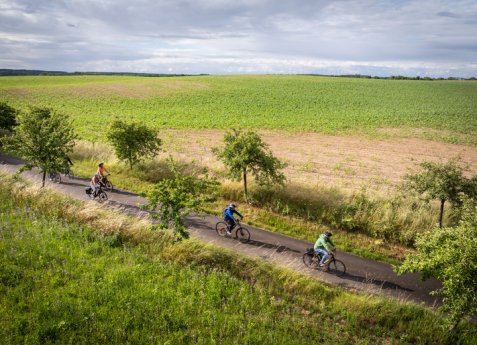 Mehrere Radfahrende fahren hintereinander auf einem Weg entlang von Feldern mit einzelnen Bäumen am Wegesrand.