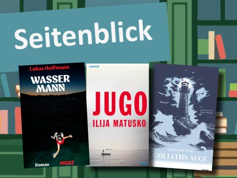 Unter der Überschrift Seitenblick sind die drei Buchcover aus der Diskussionsrunde abgebildet