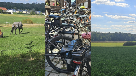 Collage aus drei Bildern einer Fahrradtour: ein Pferd mit Zebramuster-Decke auf der Weide, mehrere abgestellte Fahrräder mit Gepäcktaschen sowie eine grüne Feldlandschaft mit Waldrand unter blauem Himmel.