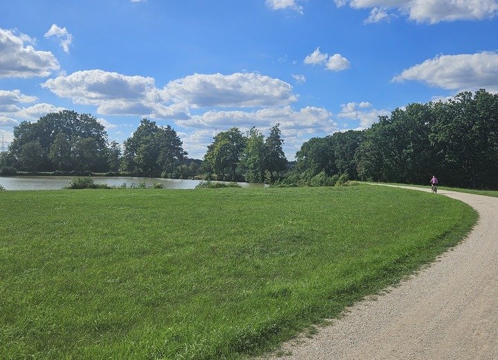 Grüne Wiese mit einem Weg am See, auf dem eine Person Fahrrad fährt, umgeben von Bäumen unter blauem Himmel mit Wolken.