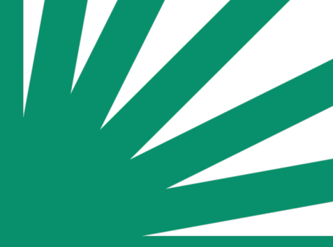 Grüne, strahlenförmige Grafik mit spitz zulaufenden Strahlen auf weißem Hintergrund.